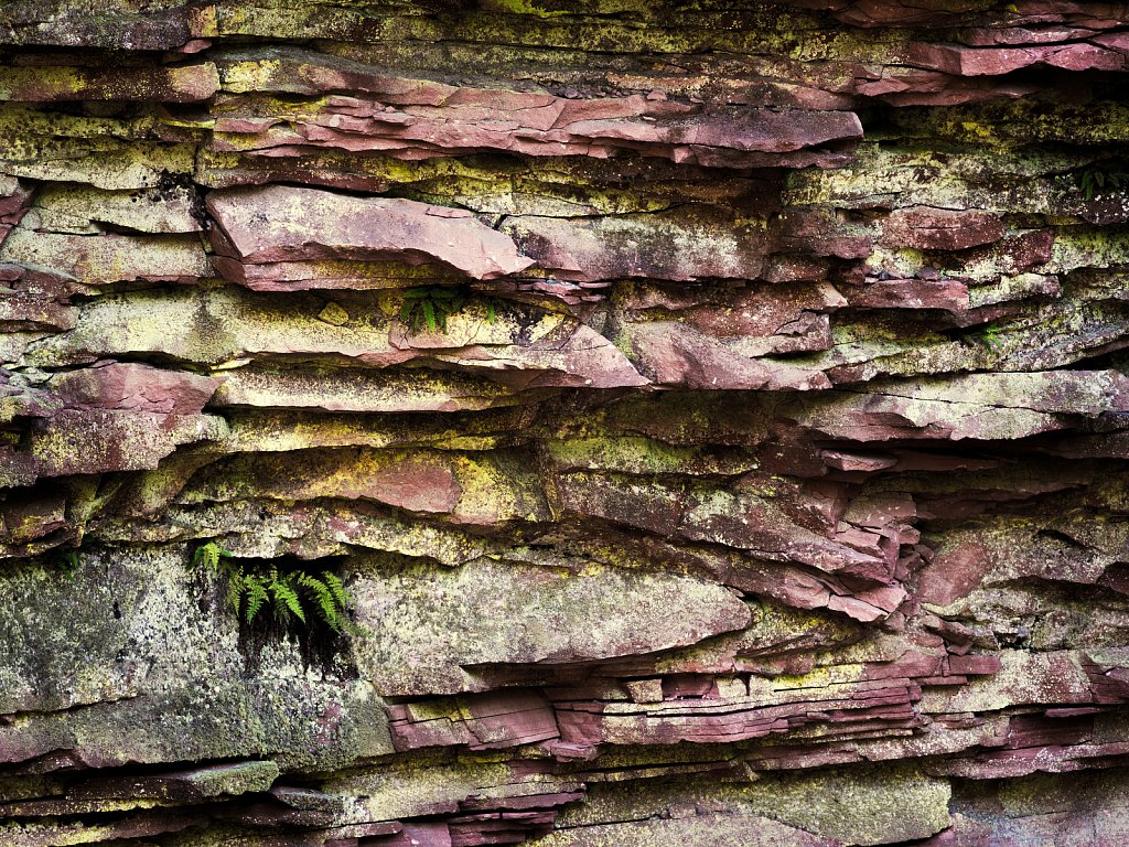 Rock Wall in Mauve